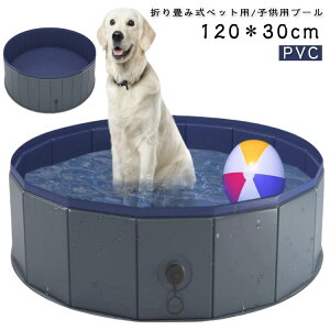 ybgpv[  12030cm PVC ϋv pv[ qpv[ ܂肽 Csv  LbY q v[ xr[v[ {[v[ ^ Ȉ   Op V ΍ r