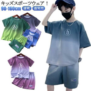 ̑ j̎q ㉺Zbg TbJ[ ZbgAbv n[tpc g[jOEFA w ̎q WjA ^ AEghA X|[cEFA q LbY  z TVc t   X