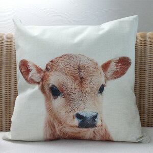 y2BUY200~OFFN[|Ώہz Aj} NbVJo[ S4 N}  F  ETM Ђ r q EV rbg 45cm×45cm  k  Aj}  킢