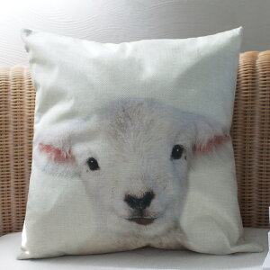 yyVX[p[SALEP2{zy2BUY200~OFFN[|Ώہz Aj} NbVJo[ S4 N}  F  ETM Ђ r q EV rbg 45cm×45cm  k  