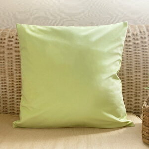 �y2BUY200�~OFF�N�[�|���Ώہz�N�b�V�����J�o�[ �������C�G���[ �x���A 45cm ���F �k�� �N�b�V���� �x���x�b�g �V���v�� ���n �P�i �������� �C�G���[