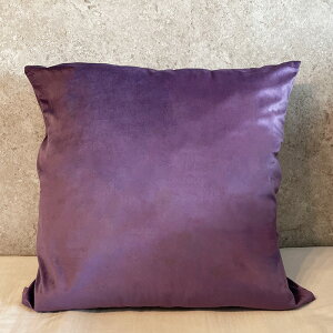 �y2BUY200�~OFF�N�[�|���Ώہz�p�[�v��2 �� 60cm �N�b�V�����J�o�[ �x���A�@�x���x�b�g �������� �P�i ���n �V���v�� �k�� ������� ���킢�� ���i�� �傫��