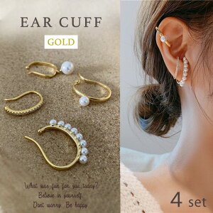  S[hp[EC[Jt4_Zbg fB[X C[JtX CJt EFAO CO Ўp ^ p[ l i GKg S[h C[Nbv  ؍ 