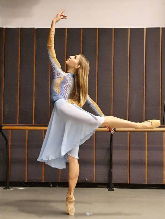 楽天市場 バレエ レオタード 大人 Juli Garden ユリガーデン Seaside 長袖 レオタード 長袖メッシュ 大人バレエ レオタード 日本未入荷 バレエ用品 ジュニア 長袖レオタード バレエ レッスン 着 ブランド ジュニア バレエ専門店ミニヨン