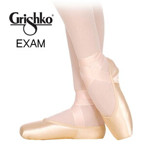 y OVR z gEV[Y@EXAM@S ߂ăgDV[Y𗚂 hGOUh@Sҗp 20cm~24cm@gDV[Y ŗĂ鑫 |AgiRSjGrishko |g oG 