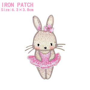 ダンス レッスンバッグ バレエ 新体操用品の人気商品 通販 価格比較 価格 Com