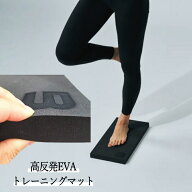 【スーパーSALE全品P2倍】 メトリクスフォーム　マット バレエ上達グッズ　ボディメトリクス トレーニン…