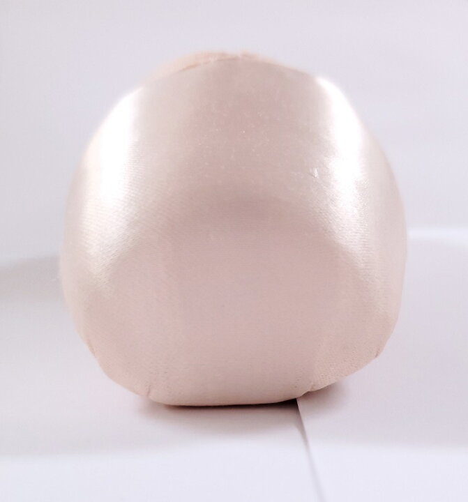 楽天市場】【マラソン中全品P3倍】 トウシューズ アクシオム 【 BLOCH 