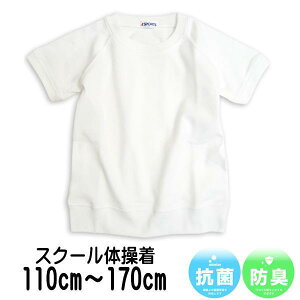̑  TVc jp ێ  ̑ RۖhL O(110cm`170cm)wZ  wZ 