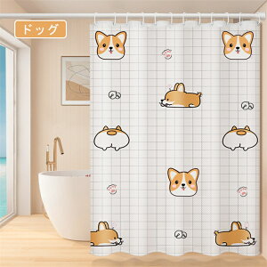 V[J[e Ց hJr h CpJ[e y  C J[e tbNt jbgoX J[e vCoV[ی oXJ[e  rj[J[e tȒP