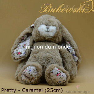 lCi 킢  ʂ (veBL)(L)XEF[fuh Bukowski uREXL[ u[oj[ V[Y ()ӂӂ [bp uE Mtg EFfB