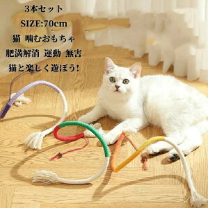 L ނ 3{Zbg 70cm ܂ѓ _ ރXeBbN ߋVRS ΎC XgX얞 ^i ^ Lp p[vIWbh