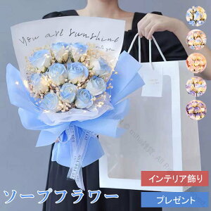 �\�[�v�t�����[ �ԑ� ���� �o�� �J�[�l�[�V���� �K�N�ԑ� �s���N �u���[ ���b�h �͂�Ȃ��� �� ���}���`�b�N �v�w �F�B �y�A �v���[���g �L�O�� �ސE �J�X�j�� �����j�� �������� �h���C�t��