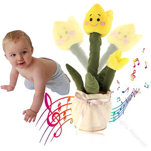 ̂ x Ԃ Ԃʂ t[[Y x ̂T{e ʂ ^ ťJԂ LEDƖt  v[g 120 dr q̓ a NX}Xv