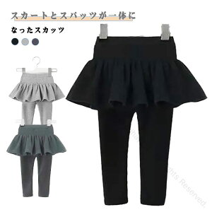 XJ[g H~ MXpc LbY XJ[g XJbc xr[ ̎q10 XJ[gtMX Xpbc XJ[gMX n 킢 tXJ[g xr[  Vv 