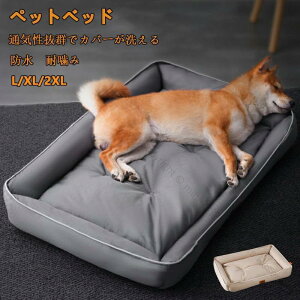 lGΉ ybgxbh h@\t \ ϊݐ݌v p Lp |₷ Lp ybg\t@[ vȃIbNXtH[hn ^ ^ L XL 2X~߉Ht