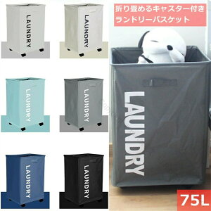 ԗ֕t󕨃oXPbg kLX^[th[oXPbg ܂肽ݎh[ {bNX[obO eʎ[S E߂ h[[kf