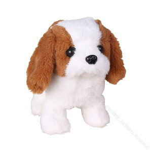 dybg ʂ 񂿂   Aŉ drdŕih prMtg qv[g oYj  a nEB[ NX}X