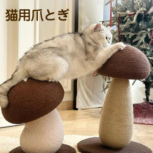 ܂Ƃ Lp ܂Ƃ lRp ϋvQ vȔLpi XgX ^s΍ ߋ Ƌی jh~ ܖ ybgpLObY