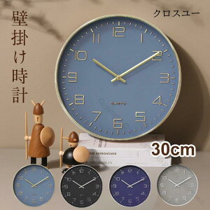 Ǌ|v IV |v fW^v Vv EH[NbN 킢 v[g 蕨 zj a qp a30CM lCfUC