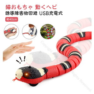 d UQ L ybgp얞 dCwr USB[d Awrf Ή XgX ^s΍ nEB NX}X RXvΉ 