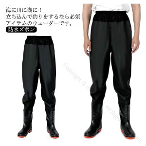 EFXgnC EF[_[ ނ tC ȈՃEF[_[  Y AEghA _ t  _ y h ЊQ |  tC k 傫TCY Y fB[X pr