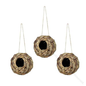 3x ̑ n`hnEX ̃nbN 蒹 n Ő peBI   I[ig OpϋvQK[fANZT[