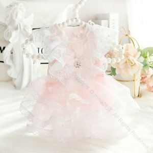   tėp  L vZXhX nCO[h hX sN [X Č ^ ^ ybg 킢 ŗČybgpߑ