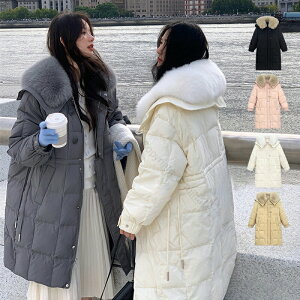 _EWPbg fB[X  _ER[g O  Lcl є t@[ݕt i _ExXg  20 30 40 ؍ ~ ubN  sN fB[Xt@bV