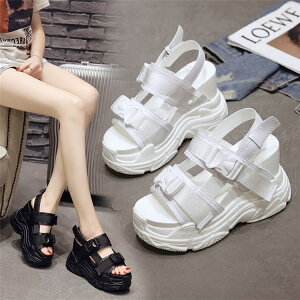 fB[X X|[cT_ T_ q[12cm ʋCQ RtH[g݌v CuV[Y Xp IV ؍t@bV r[`T_ ėp ʃJ[oG[V