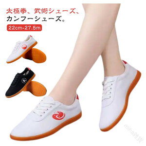 Xj[J[ EFA Jt[V[Y fB[X Y ɌpV[Y Kp jp pC ɌV[Y LpXf ɍœK ϋv݌v yʂŉKȗSn