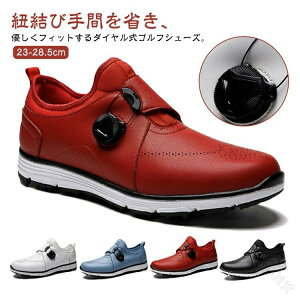 yʂŗ₷KCStV[Y Y fB[XΉ hhdlŉKȃXpCNXXj[J[ _CA߉\ȍŐVfUC̃StC