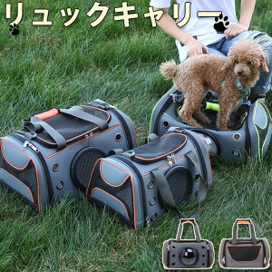 ybgp|bvL[ ybgobO  L ` ^ o sɕ֗ LobN ybgL[ L[obO Lp ʋC bNTbN ybgpi ep ybgp