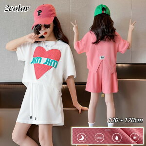 ZbgAbv ̎q LbY ؍q pcZbg ėp K[Y TVc V[gpc 2_Zbg X|[cEFA AEghA  ĕ  pW} JWA ㉺ XEFbg 