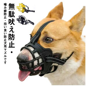 p}Y ʖih~ ݕȖh~ EHh~  ybgp}Y rߖh~ ݂h~ ^Ή Oo֗ObY g[jOpybg}XN @\}YJo[