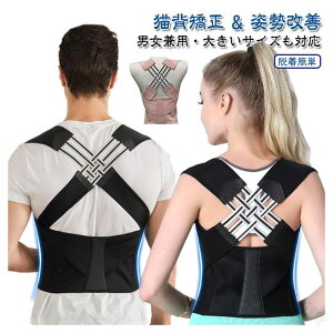 Lw j q pT|[^[ w؋xg  ėp  Lwxg fB[X Y Ci[ ΍ 傫TCYΉ