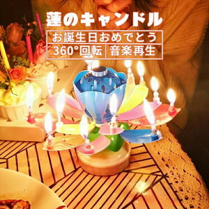 p[eB[Lh @̉ԃfUC P[Lp낤 C{[io[Lh aLOjp lC̃p[eB[ACe125