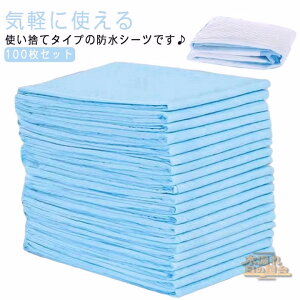 hV[c  ĝ 100 zc ĝ ˂V[c 60×90cm AR pV[c ~pbh hpbh ˂΍ zV[g hV[c pi h~ 唻TCY 