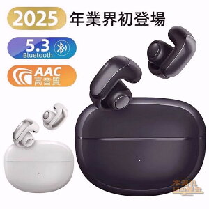`Cz CXCz Bluetooth 5.3 ǂȂ I[vC[^ @Ή Hi-Fi CX u[gD[X }CNt ʘb Ȃ璮