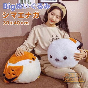 V}GiK V} GiK 30cm*40cm BIGʂ  Ƃ g ʂ ObY n kCV}GiK  킢 rbOʂ  ǂ̓ av[g N