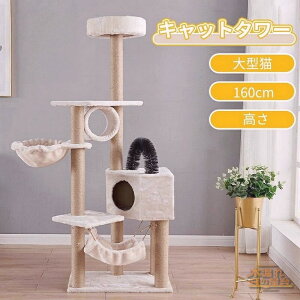 _|Cg10{^Lbg^[ L^[ X ^L u ȃXy[X o₷ nbN  ˂nEX VRR ܂Ƃ ^s  x[W 160cm