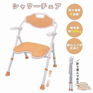 V[`FA pC֎q Cp֎q 36.5`48cm߉\ 6iK ܂ݎ ˏグI| ]|h~ A~ ω׏d100kg Hsv ̃pCv Ua ؂茊 w