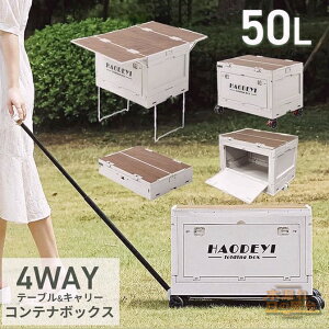 ܂肽݃Rei 50L e[u e Rei{bNX Wt [{bNX t^t VFt [P[X ܂ AEghA Lv BBQ O   [ AEghAS 