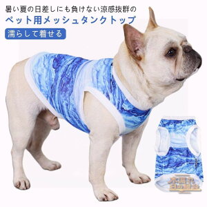 G炵Ē  L  N[ EFA G炷 bV ⊴ Ђ p CM  L ĕ ^ ^Ngbv ybgEFA p Lp xXg N[xXg MǑ΍ ΍ 