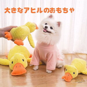 ̂ Aq̂ ̂ʂݏ_炩̂ʂ݂̂ މ𗧂ĂĊނ ʂ݃TEh ^Ƒ^p̎q̂