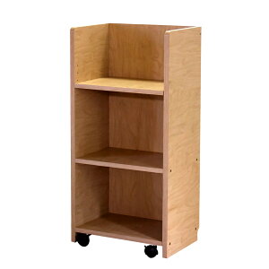 yCPLzJ[{bNX LX^[t hZbN [ X 100 3i [P[X 44cm s29.5cm 90cm mihama