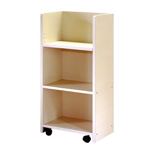 y}\P5{ CPzJ[{bNX LX^[t hZbN [ X 100 3i [P[X 44cm s29.5cm 90cm mihama