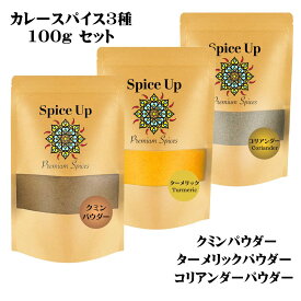 【レビューを書いて【100円クーポン】をGET! 】Spice Up 厳選カレースパイスセット3種類（クミン・ターメリック・コリアンダー）各100g 粉パウダー　翌日配送　チャック付きスタンディング袋　無添加