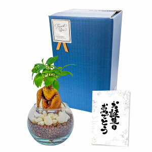 Mtg ϗtA bZ[WJ[ht zCgf[ oYj j җj 肪Ƃ { ϗtA nChJ`[ ~j ܂ pL TXxA Nɂ 