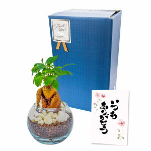 Mtg ϗtA bZ[WJ[ht zCgf[ oYj j җj 肪Ƃ { ϗtA nChJ`[ ~j ܂ pL TXxA Nɂ 